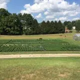 Butcher Family Farm photo