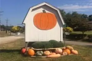 Butcher Family Farm