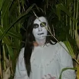 Moapa Valley Haunted Corn Maze photo