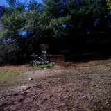 Adam's Farm photo