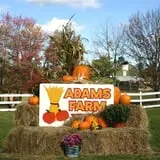 Adam's Farm photo