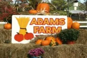 Adam's Farm