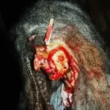 Dominion of Terror photo