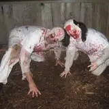 Dominion of Terror photo