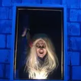 Dominion of Terror photo