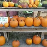 Goranson Farm photo