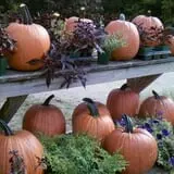 Goranson Farm photo