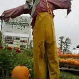 Goranson Farm photo
