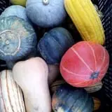 Goranson Farm photo