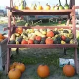 Goranson Farm photo