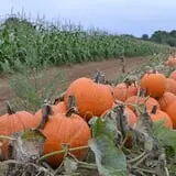 Goranson Farm photo