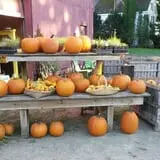 Goranson Farm photo