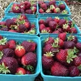 Goranson Farm photo