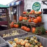 Goranson Farm photo