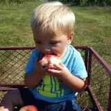 LynOaken Farms photo