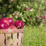 LynOaken Farms photo