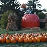 Goebbert's Farm Fall Festival photo