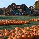 Goebbert's Farm Fall Festival photo