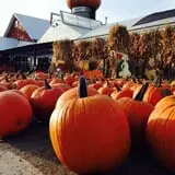 Goebbert's Farm Fall Festival photo