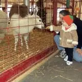 Goebbert's Farm Fall Festival photo