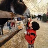 Goebbert's Farm Fall Festival photo
