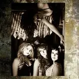 DarkSyde Acres Haunted House  photo