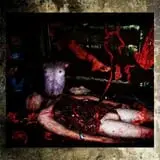 DarkSyde Acres Haunted House  photo