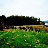 Dr. Davies Farm photo