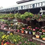 Dr. Davies Farm photo