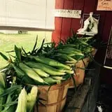 Dr. Davies Farm photo