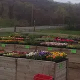 Dr. Davies Farm photo