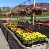 Dr. Davies Farm photo