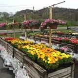 Dr. Davies Farm photo