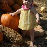 Madrac Farms Pumpkin Patch photo