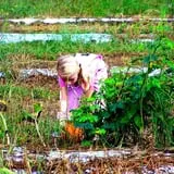 Madrac Farms Pumpkin Patch photo
