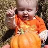 Madrac Farms Pumpkin Patch photo