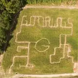 Madrac Farms Pumpkin Patch photo