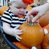 Madrac Farms Pumpkin Patch photo