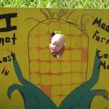 Madrac Farms Pumpkin Patch photo