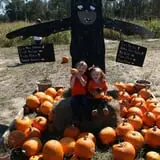 Madrac Farms Pumpkin Patch photo