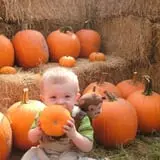Madrac Farms Pumpkin Patch photo