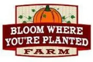 Bloom Where You're Planted Farm
