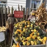 DeVries Farms photo