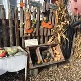 DeVries Farms photo