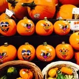 DeVries Farms photo