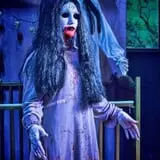 Green Bay Fear photo