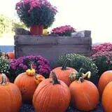 DuBois Farms Pick-Your-Own photo
