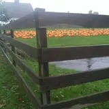 DuBois Farms Pick-Your-Own photo