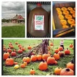 DuBois Farms Pick-Your-Own photo