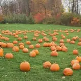 DuBois Farms Pick-Your-Own photo